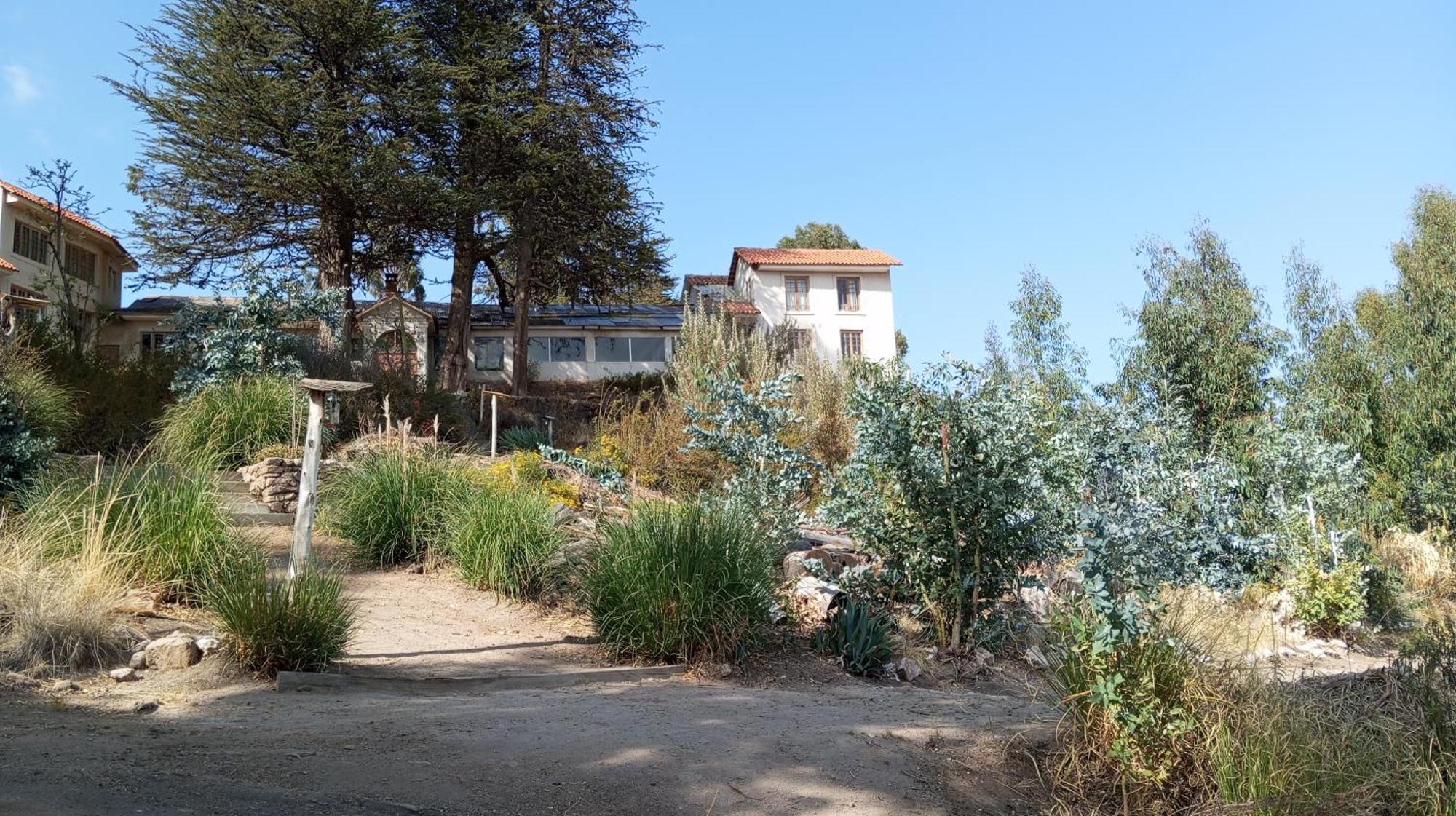 Hostal La Chacarilla Copacabana  Dış mekan fotoğraf